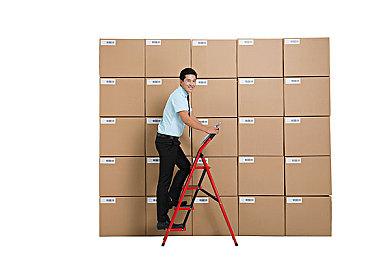 《宝可梦传说：阿尔宙斯》新情报 霹雳电球洗翠的样子